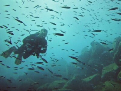 Discover scuba diving