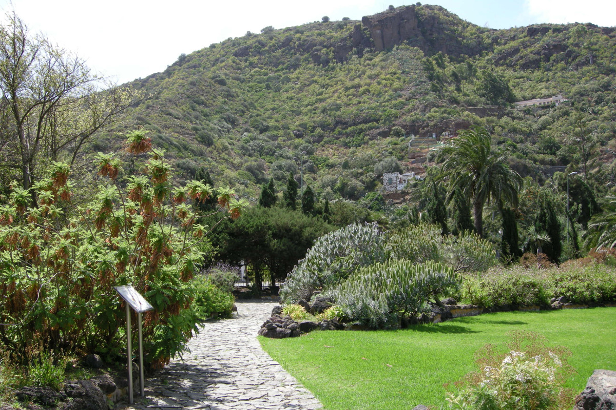 Coffee and botanical garden