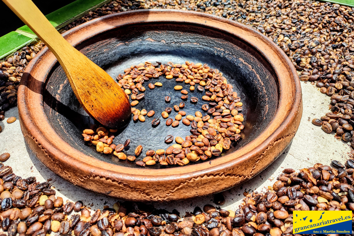 Privat toru around the island, cactus garden and coffee plantation
