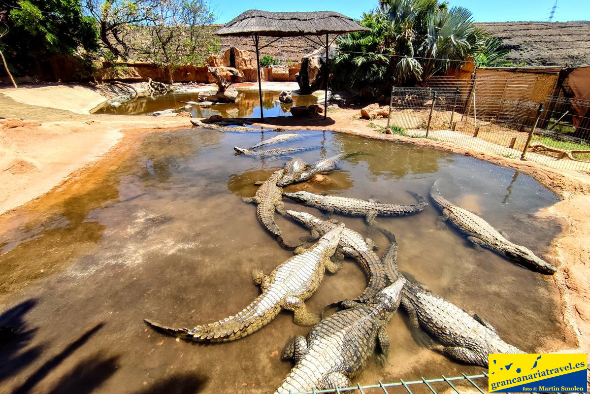 Private tour Agüimes and its surroundings