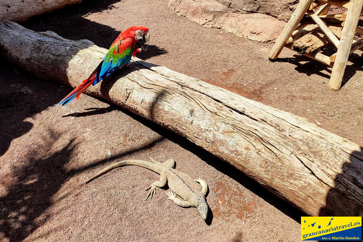 Private tour Agüimes and its surroundings