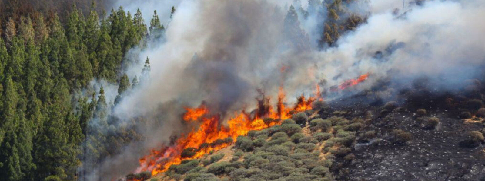 Fire warnings