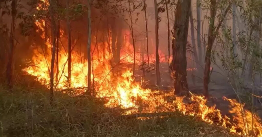Fire warnings