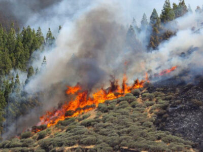 Fire warnings