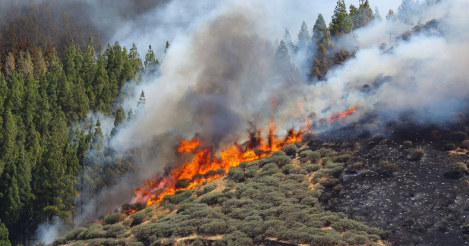 Fire warnings