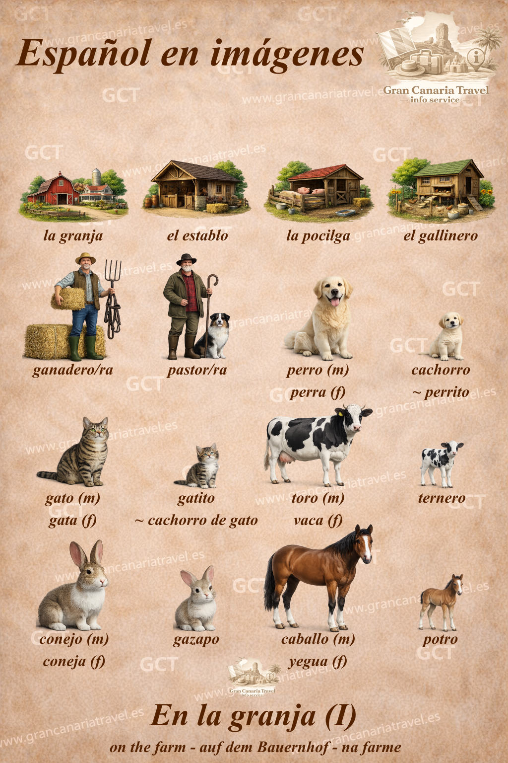 Español en imágenes